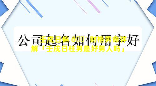 壬戌日偏 🐴 财格男命详解「壬戌日柱男是好男人吗」